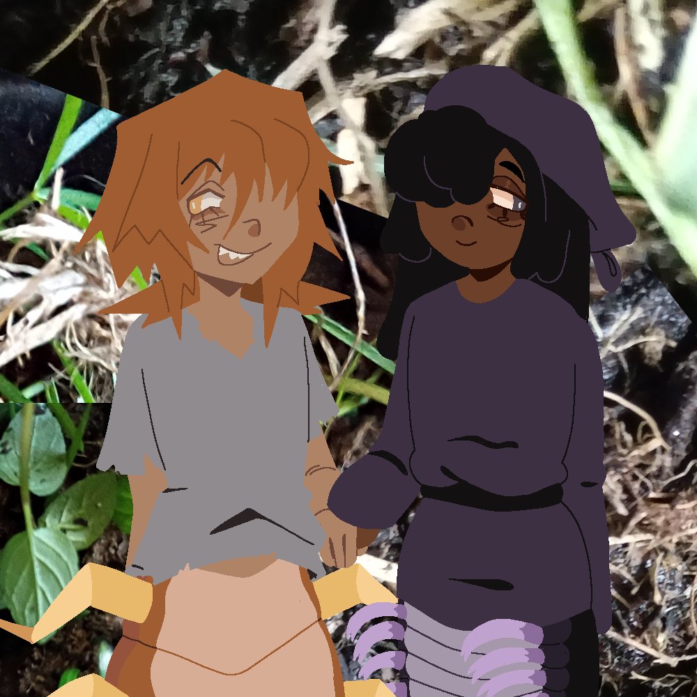 backwardyear's tweet image. scolopendra and archispirostreptus