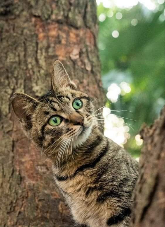 Alex (@polaleks) on Twitter photo 