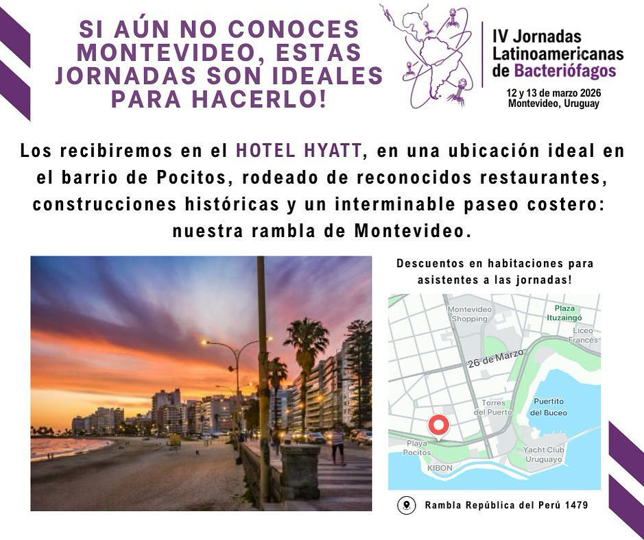 Natalia Echeverría 🇺🇾 tweet media