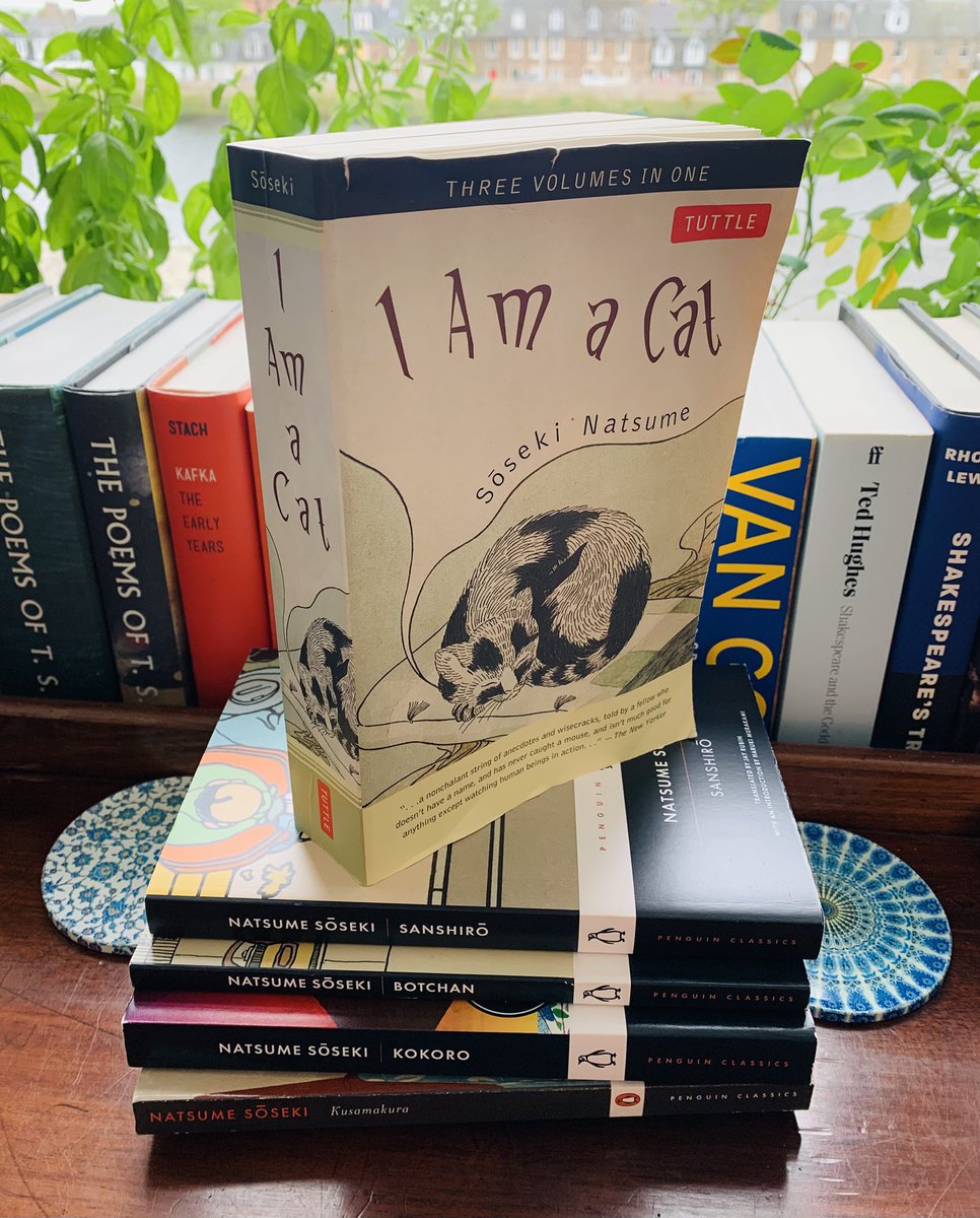 Dr David Vernon tweet media