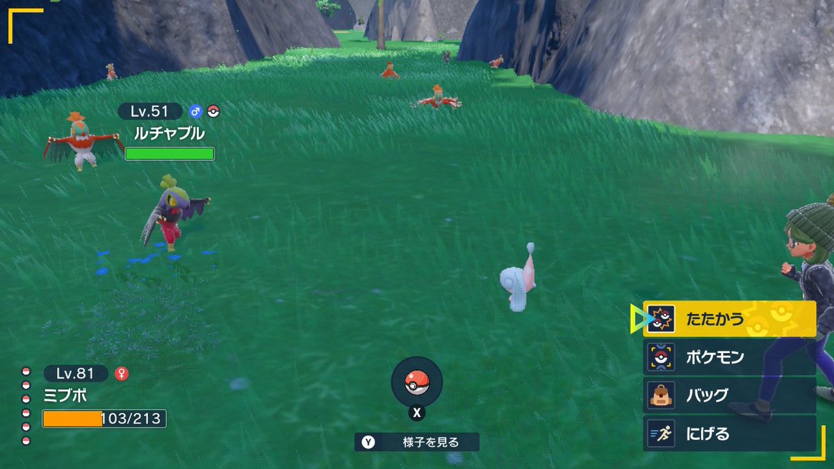 これはバイオレット　豪華色ミラコラと念願のルチャブル！見つけた　かっこよ〜