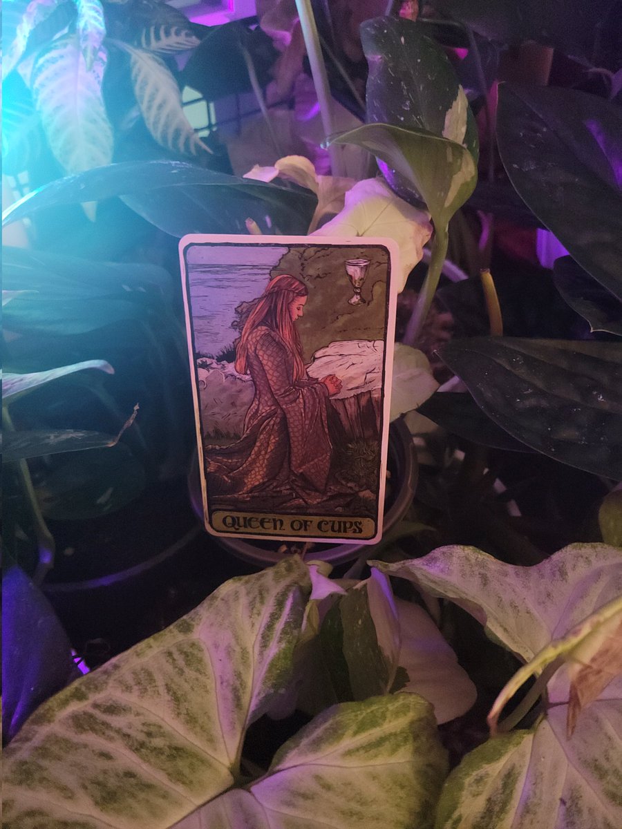 BrickCityBruja's tweet image. 🕊️Today’s card 10/5/2025: Queen of Cups 
She’s the high priestess of emotional wisdom—soft, empathic, and quietly powerful.
Listen to your intuition today; it’s whispering truths the mind can’t hear.
#LanxsDailyTarot #QueenOfCups #WitchyWisdom #LaBrujaMorenaReads #GameofThrones
