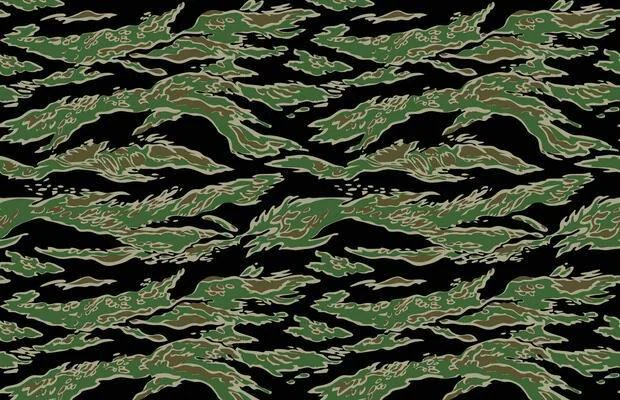 a_plus_pacob's tweet photo. @Straatford87 @Battlefield I’d like to request the addition of the tigerstripe camouflage to battlefield 6 as I think it’s a very nice pattern and fits the grounded style you’re going for maybe it could be a part of the battle pass or a challenge here are some variations https://t.co/ZvJmPZnIPm