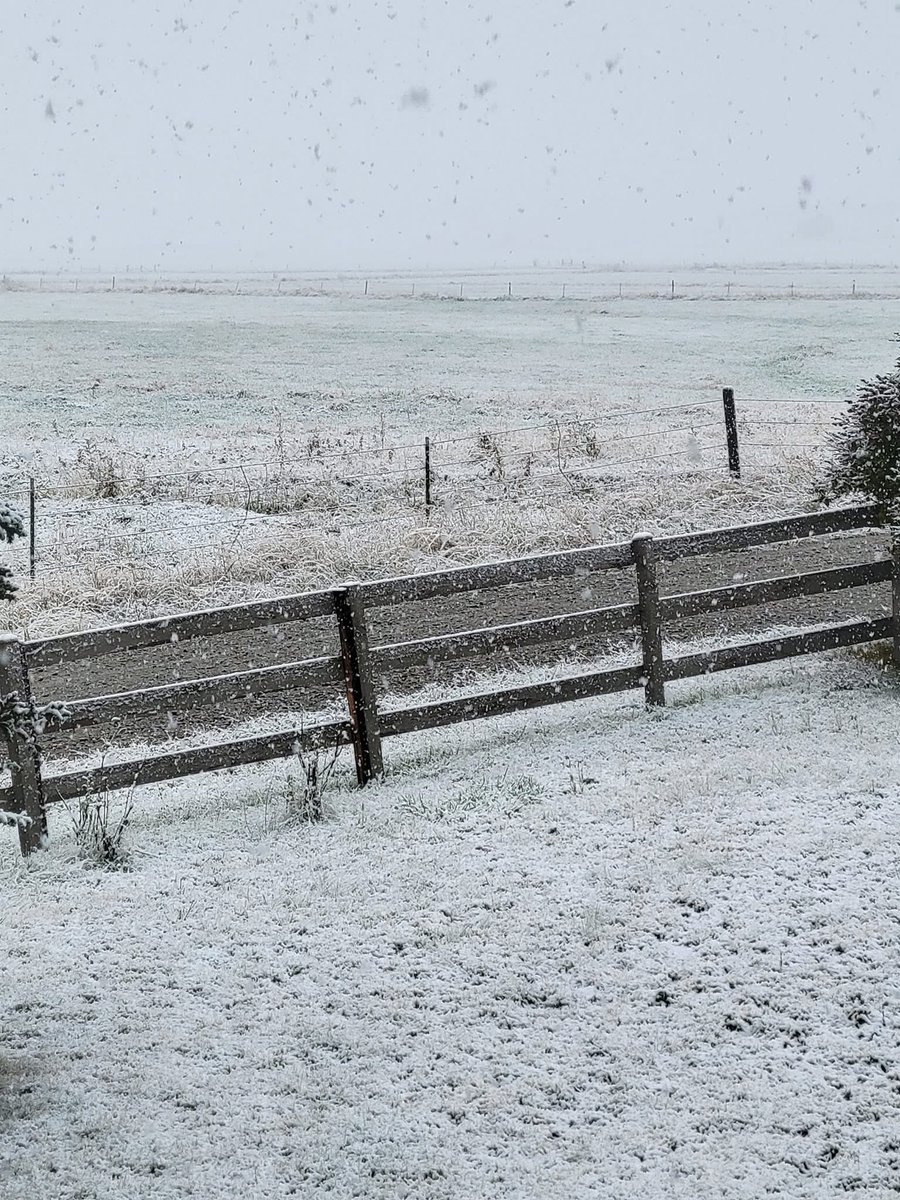 First snow In Montana for the winter… can’t even see the mountains today….