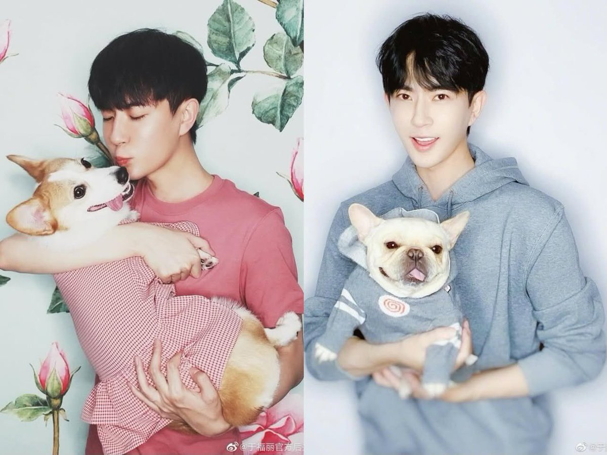 SoulNameIna's tweet photo. These people even killed Yu Menglong’s two dogs.
They murdered a person and killed his dogs — these demons are truly hideous! https://t.co/PRwEvNgjyK