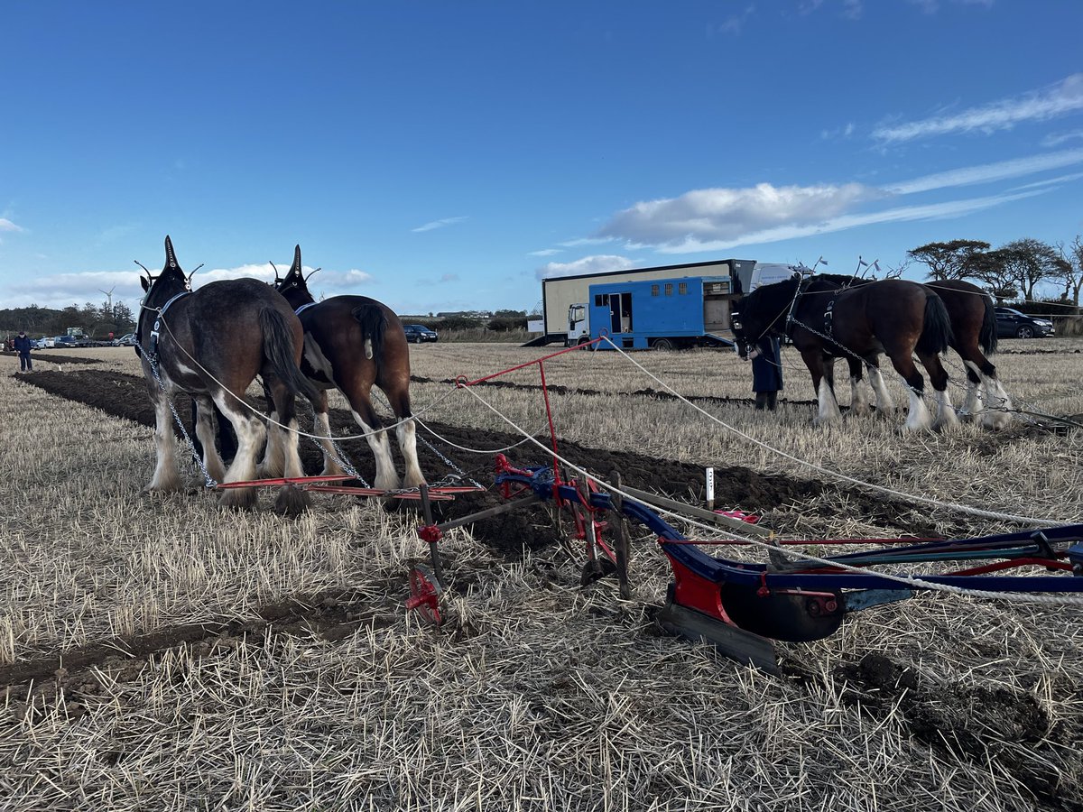 Balmonth Farm tweet media