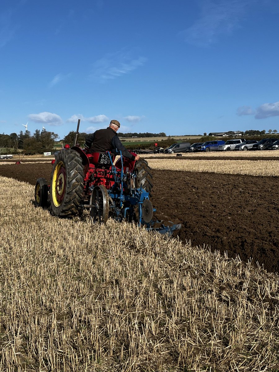 Balmonth Farm tweet media