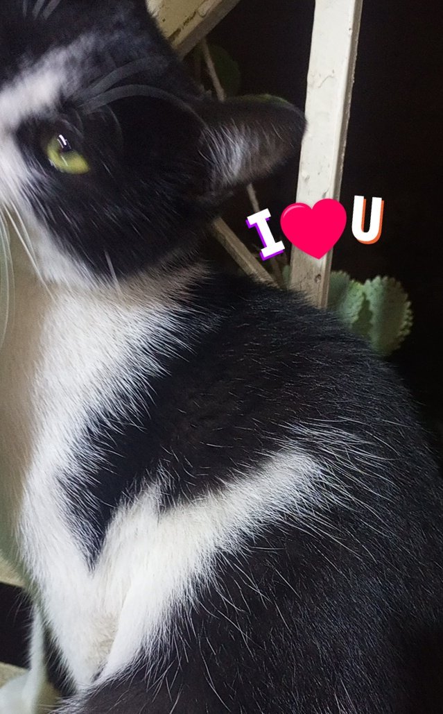 -

.
.
.

لا تجادل كلباً لا يرى اعوجاج ذيله.🖤 ༄

.
.
.