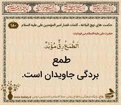 تو فامیل آدم طمع کار پولدار دارید .
