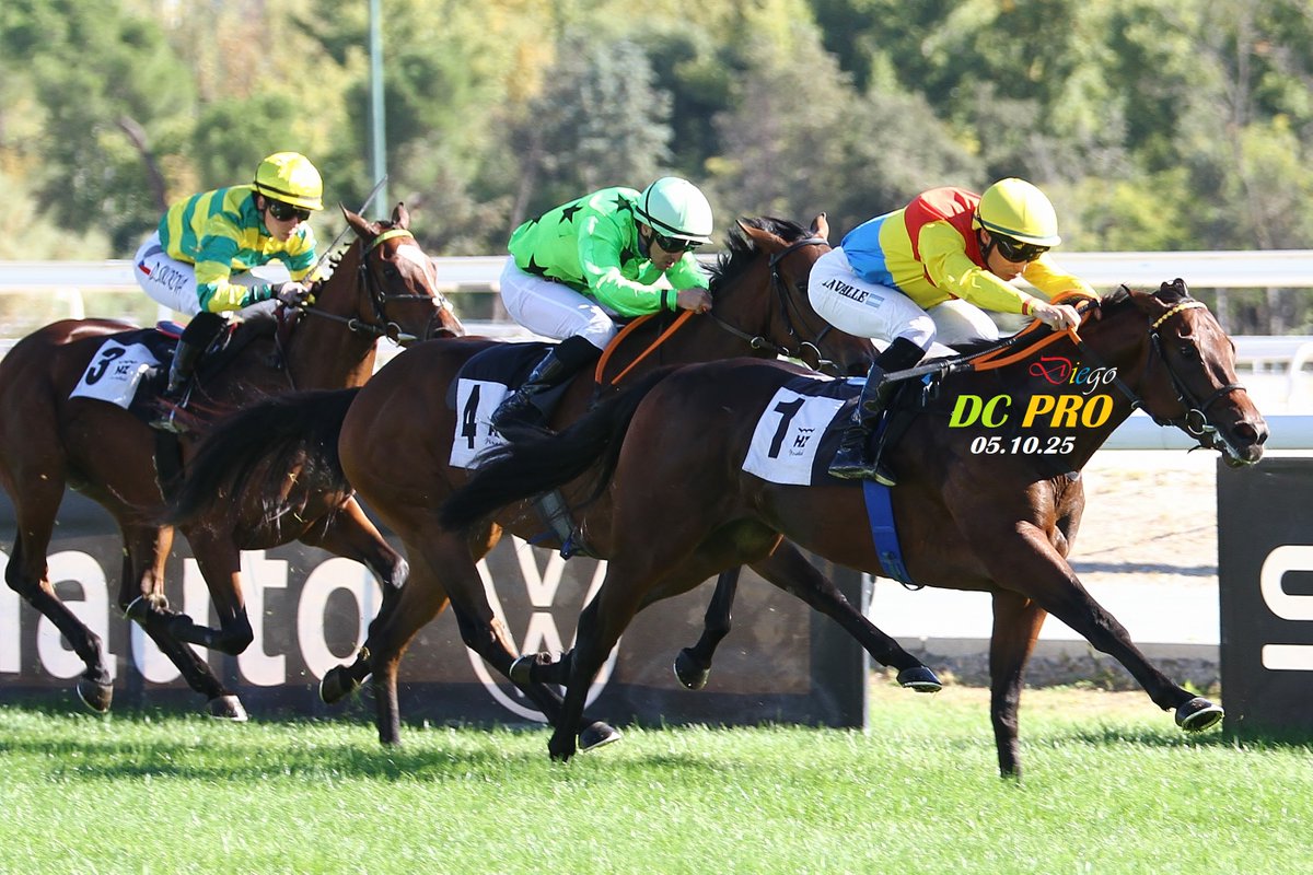 Hoy, en una jornada soleada y especialmente ambientada en <a href="/HipodromoMadrid/">Hipódromo de La Zarzuela</a> con la celebración del Oktoberfest🍻, los caballos vencedores fueron: Zodiaco (foto), Telemachus, Global Venture, Yo Roque, Franky y Vamos Niño. ¡Felicidades! 🐴🏆💐