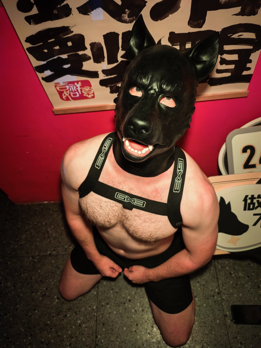 Pup Yang🇵🇸 tweet media