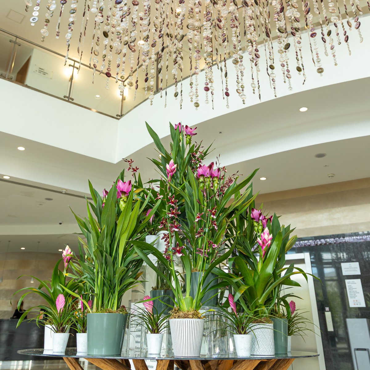 🌸 Step into Hilton Reading and be greeted with elegance at every corner. From vibrant blooms to thoughtful details, we create an atmosphere designed to inspire comfort and connection. 💫

#HiltonReading #HiltonMoments #HospitalityWithHeart #CreatingMemories #TravelwithPurpose