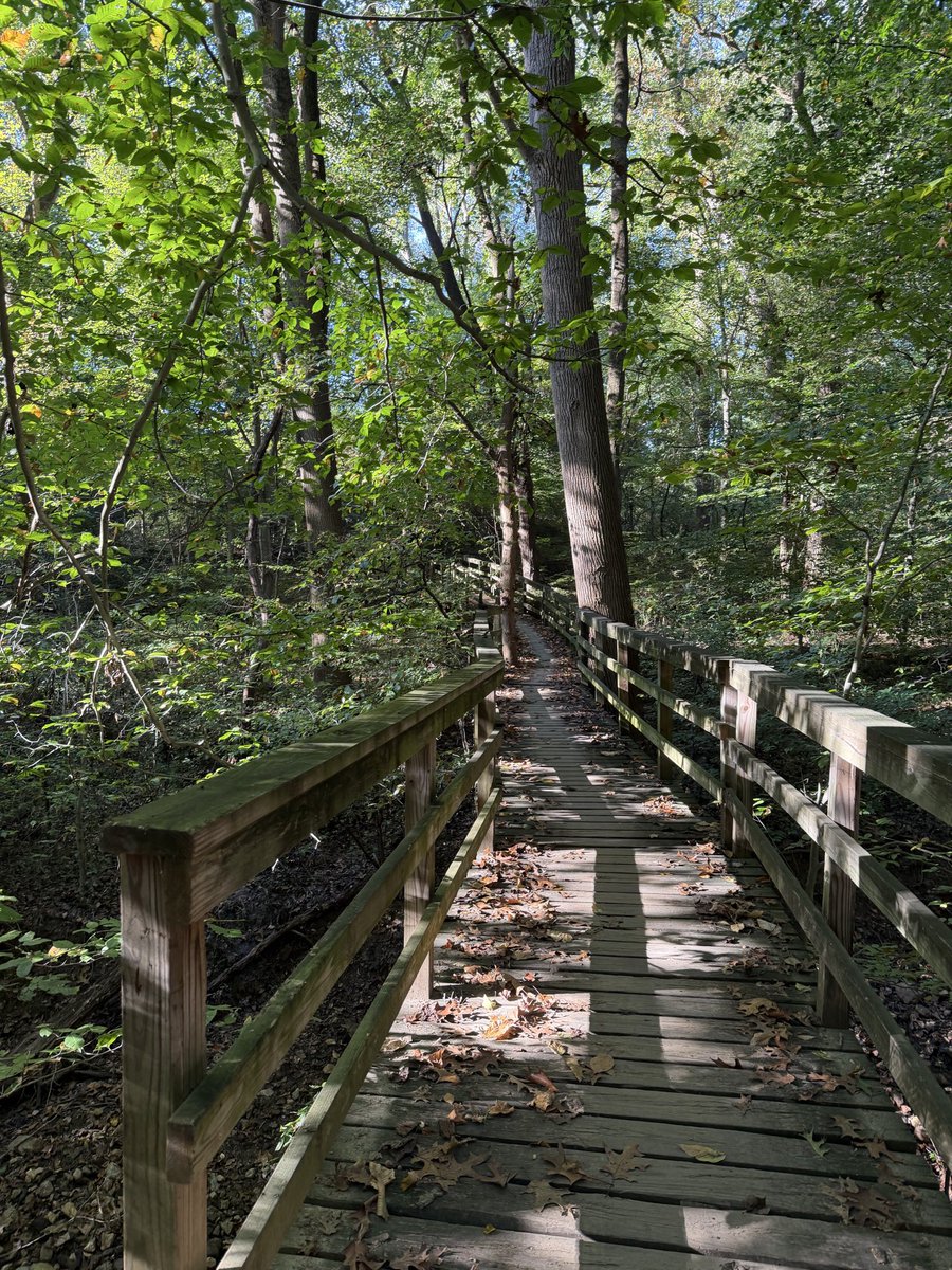 horsethem's tweet photo. Calm 3.6 miles in a beautiful enchanted forest to start my day :D https://t.co/X4pSdiX7mm