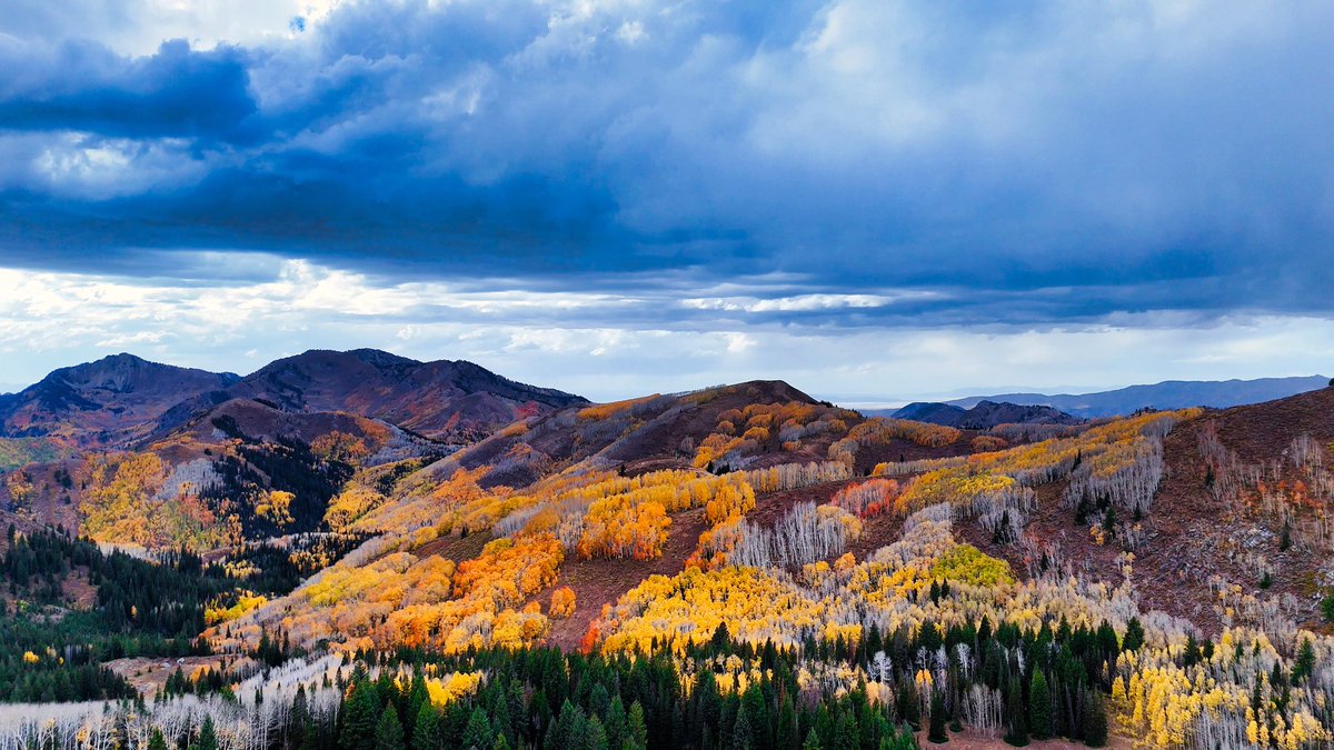 A Mountain Symphony Above Desolation Lake
Eight miles. Two thousand feet of steady climb. A trail that wound through gold, crimson, and fading green—every step revealing another masterpiece painted by autumn.

By the time I reached the ridgeline above Desolation Lake, clouds