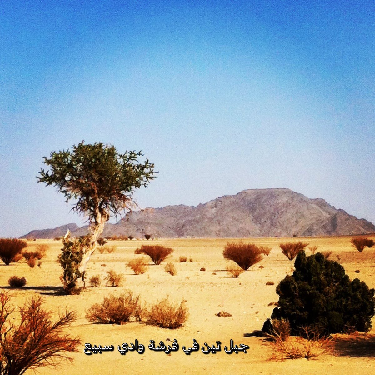 جولة في أسفل وادي الخرمة 
تين والسديرية وبرام  والقنصلية وحسن والغراميل ورمحين وذريرة 
drive.google.com/file/d/1WSS05c…