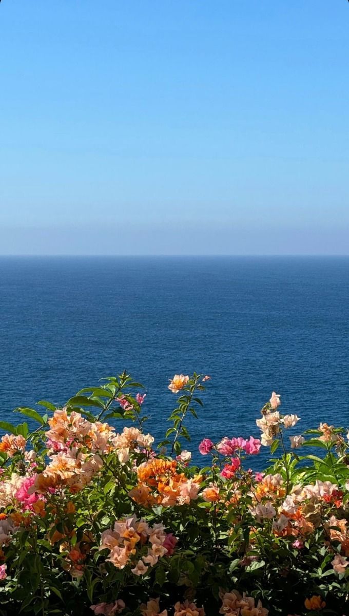 kiwiairene's tweet image. 