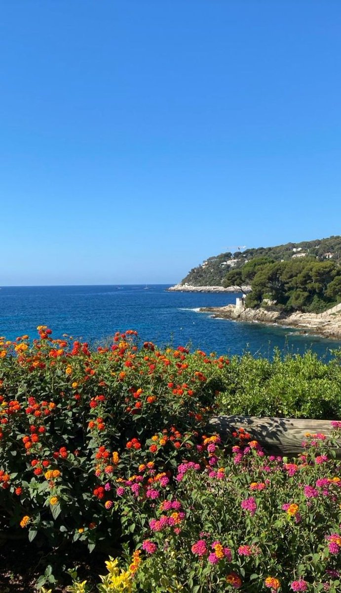 kiwiairene's tweet image. 