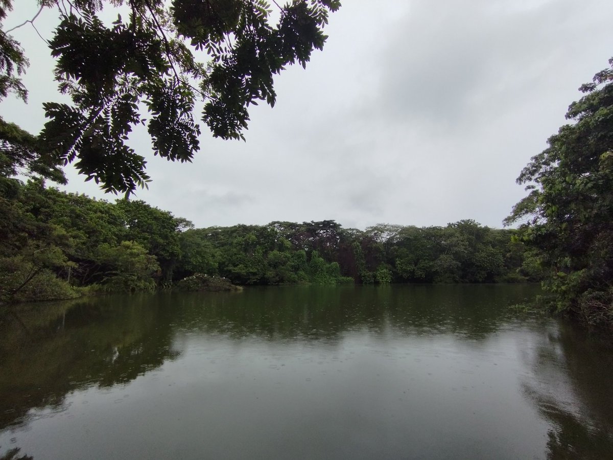 FelipeRamois's tweet photo. Un momento en el Ecoparque Las Garzas es todo lo que necesitas para sanar 🧘🏾♂️
Vivimos en un paraíso! 🌳🏞️🌺🐿️
#MovetePorCali https://t.co/soo8o3ydRu