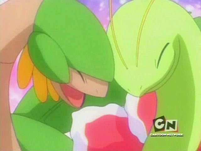 PokemonGems's tweet image. 