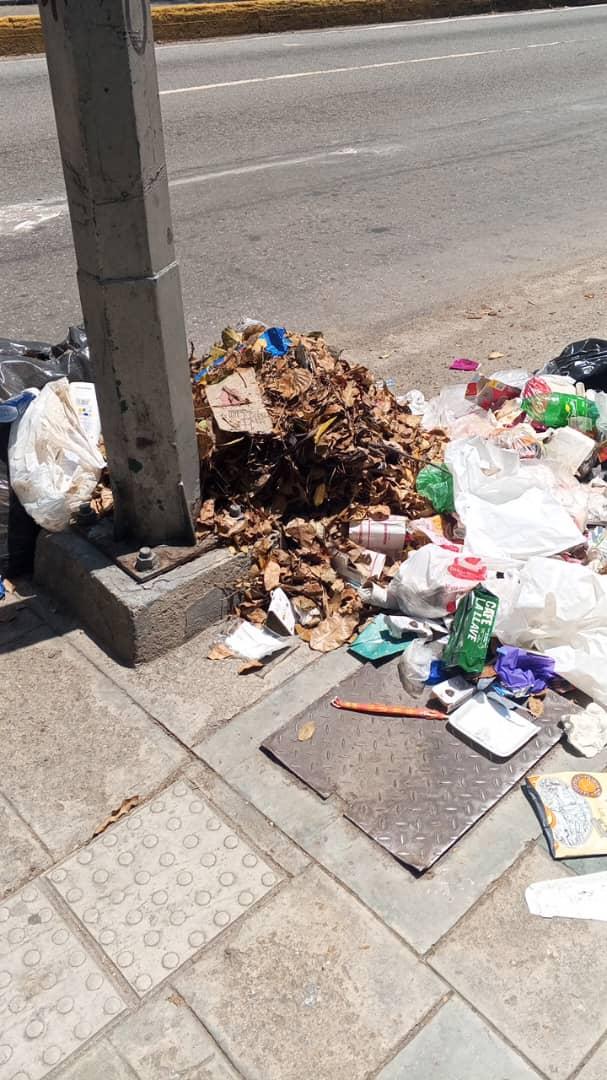 Maria Molina tweet media