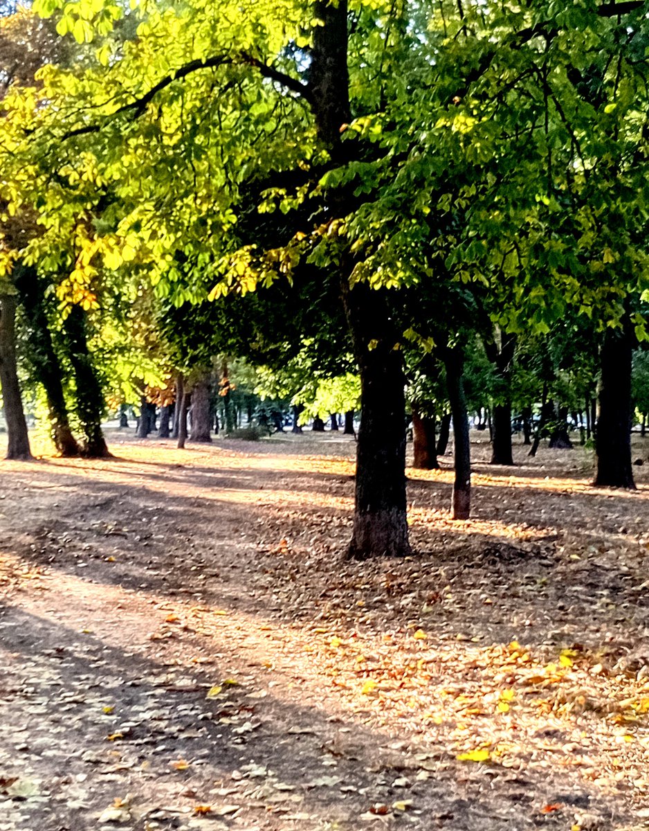 Катерина Галич tweet media