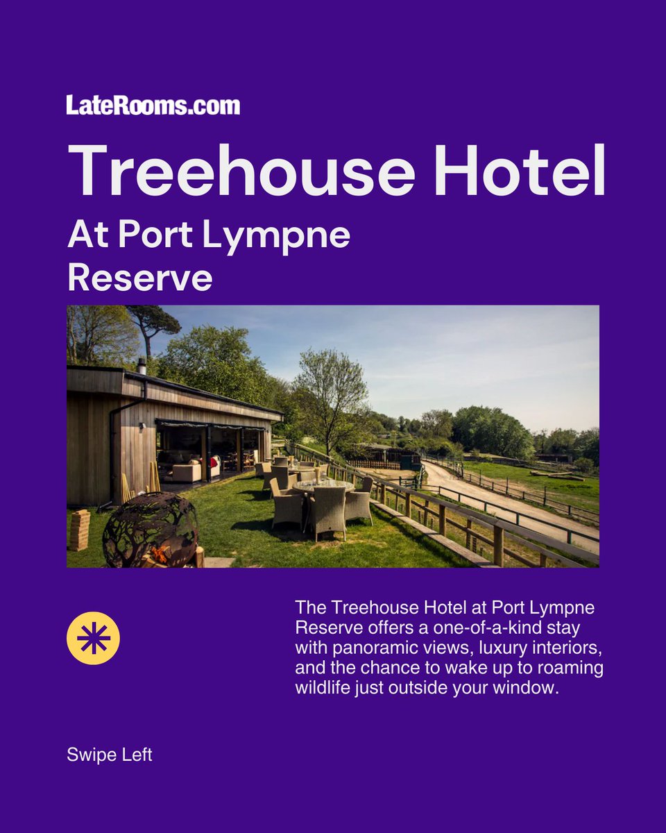 These hotels are anything but basic:
🧙‍♀️ Hocus Pocus York
🐻 Crazy Bear Stadhampton
🌳 Treehouse Port Lympne

Book a stay with personality → laterooms.com

#QuirkyStays #AutumnBreaks #LateRooms