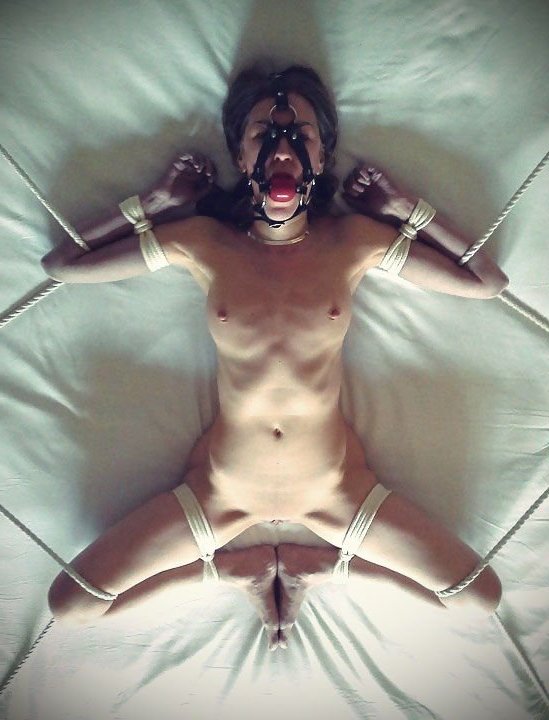 我隔段时间就看到有男主发女德教育

在我看光洗脑是没用的必须有强制力到位的管教方法和手段

小圈女生不都说无性么，那无性不能只在实践时无性，贝回家后偷偷自慰的可能也要被管制；大圈女生也是，调教不能只是享受，而要用贞操锁剥夺其自己解决和别处去爽的可能，女德教育十遍不如贞操锁锁死有管控力