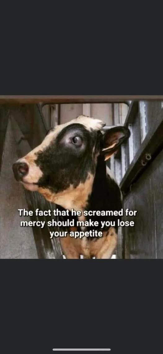 Ellie CG (@elliecg11) on Twitter photo 