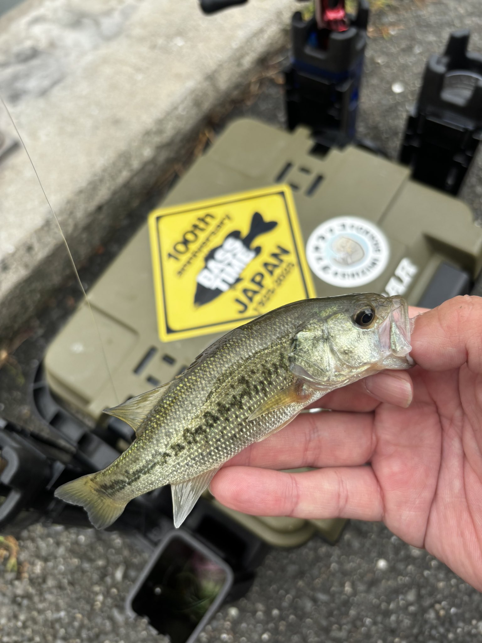 超超大量！超お得！バス釣り　まとめ売り　おまけ付き♡ 超超大量！超お得！バス釣り まとめ売り おまけ付き♡ フィッシング