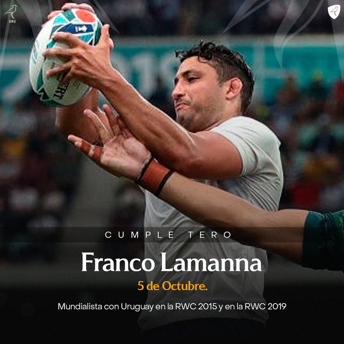 Los Teros tweet media