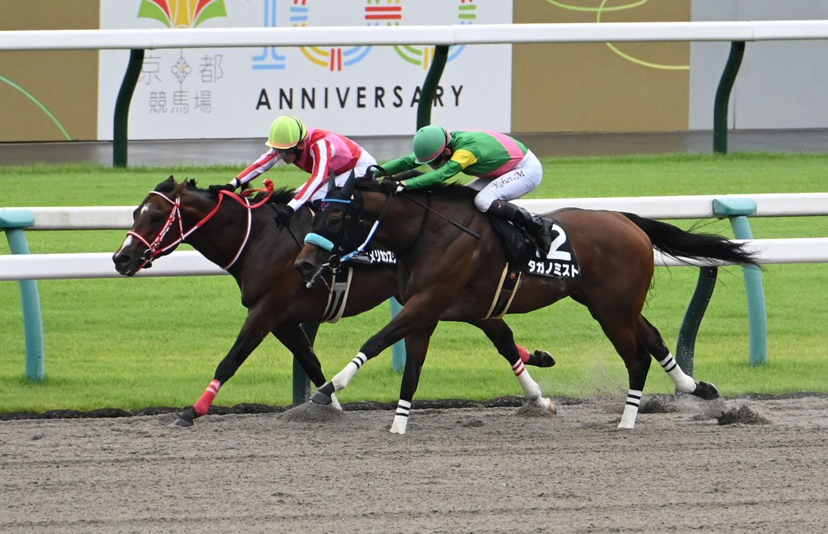 ノリタケ　競走馬跳馬 netkeiba on X