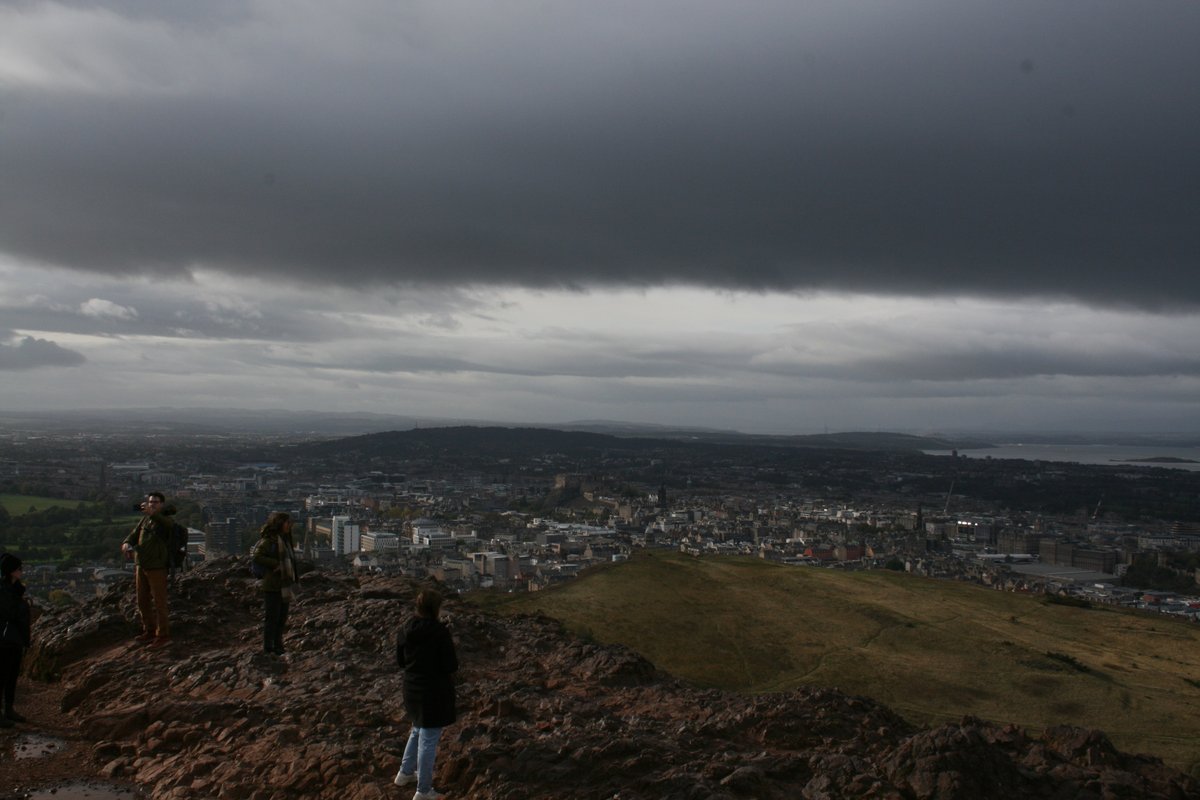 Patrick 🦉 (@patrickowlemoji) on Twitter photo 