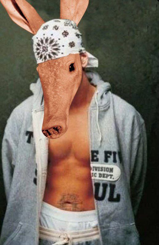 From the burrow to the block