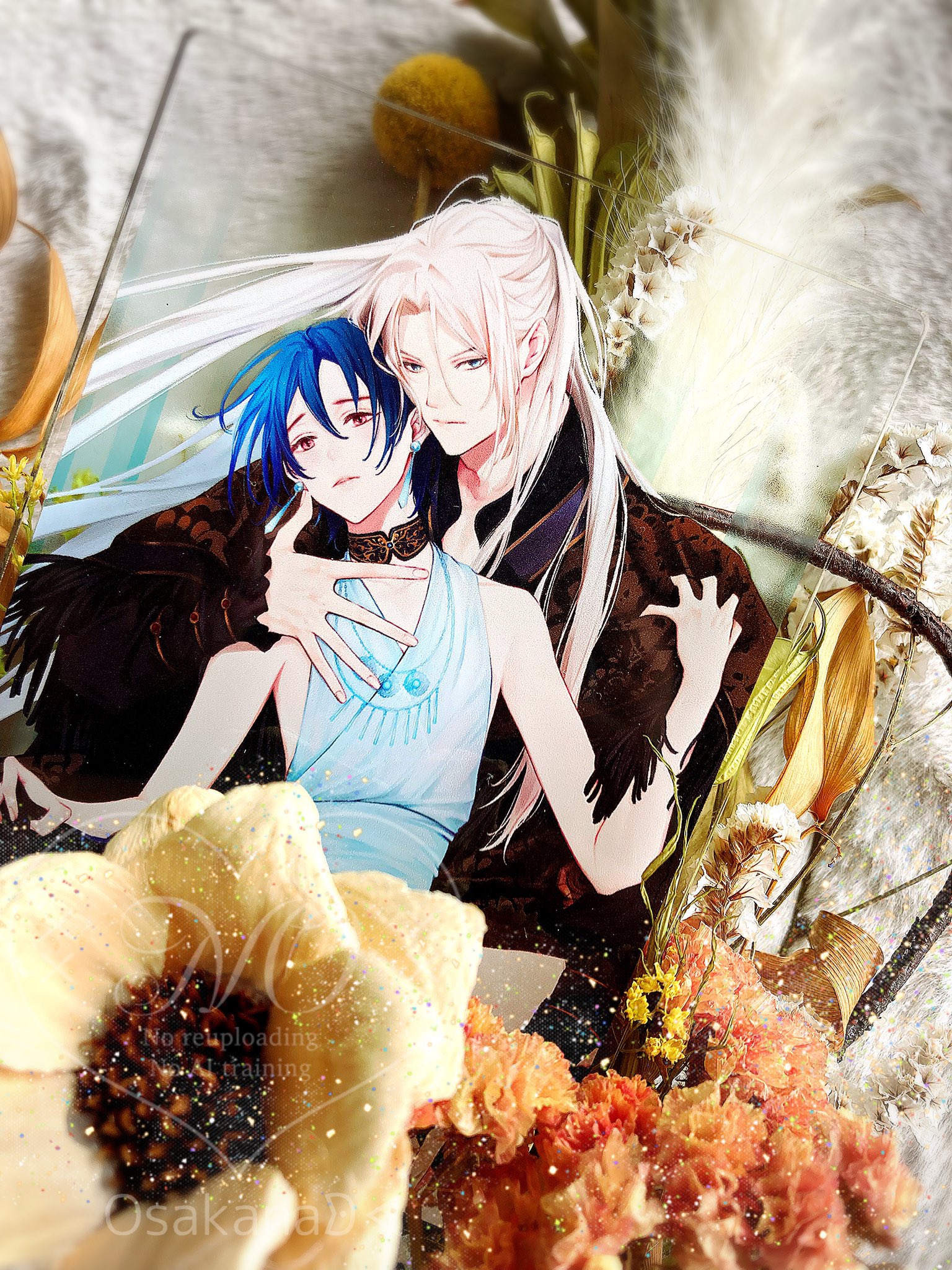 アフターミッドナイトスキン にむまひろ アフミス ぺあぬい セット コスチューム アフターミッドナイトスキン にむまひろ アフミス ぺあぬい