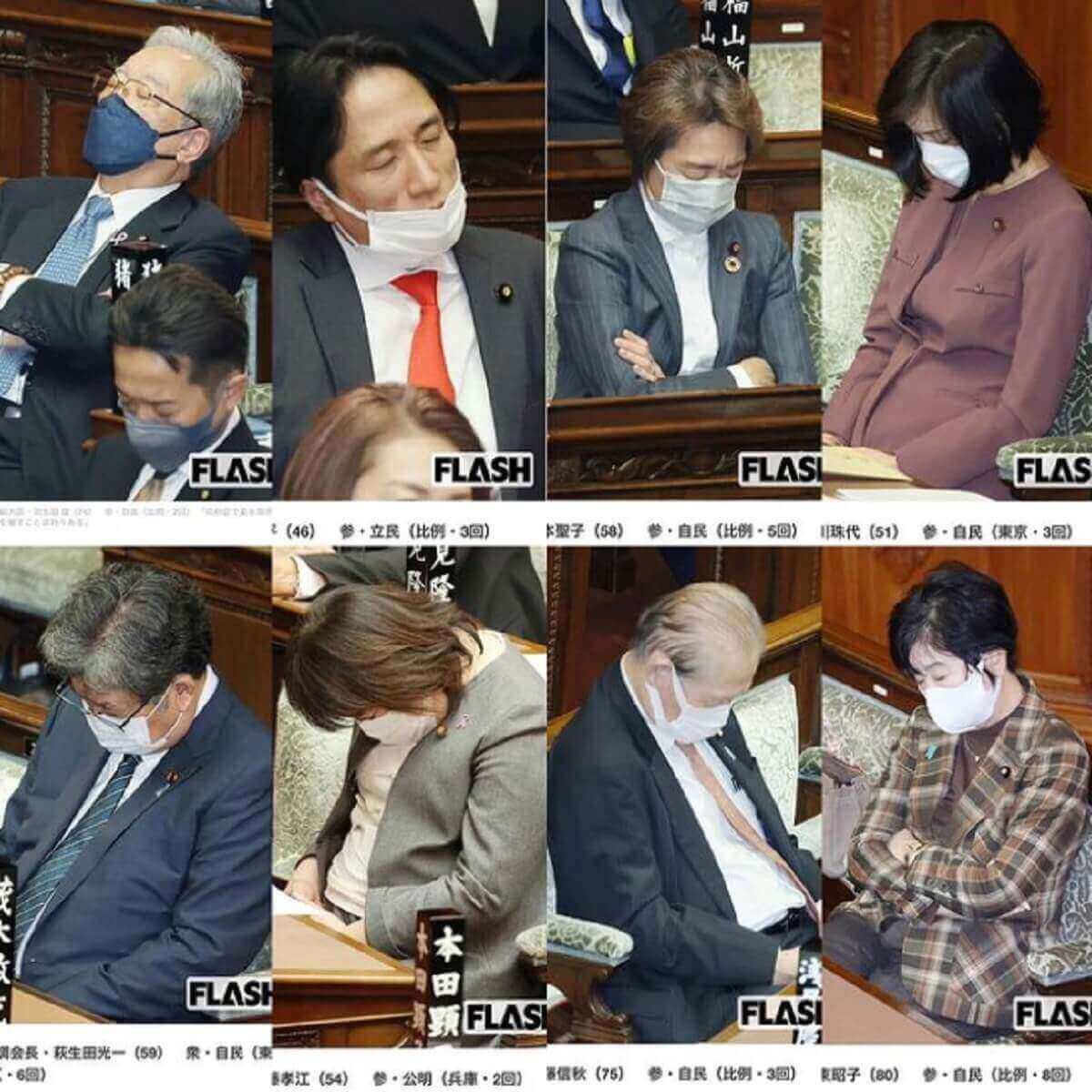 ぽてと🐾@政治は未来への投資 tweet media