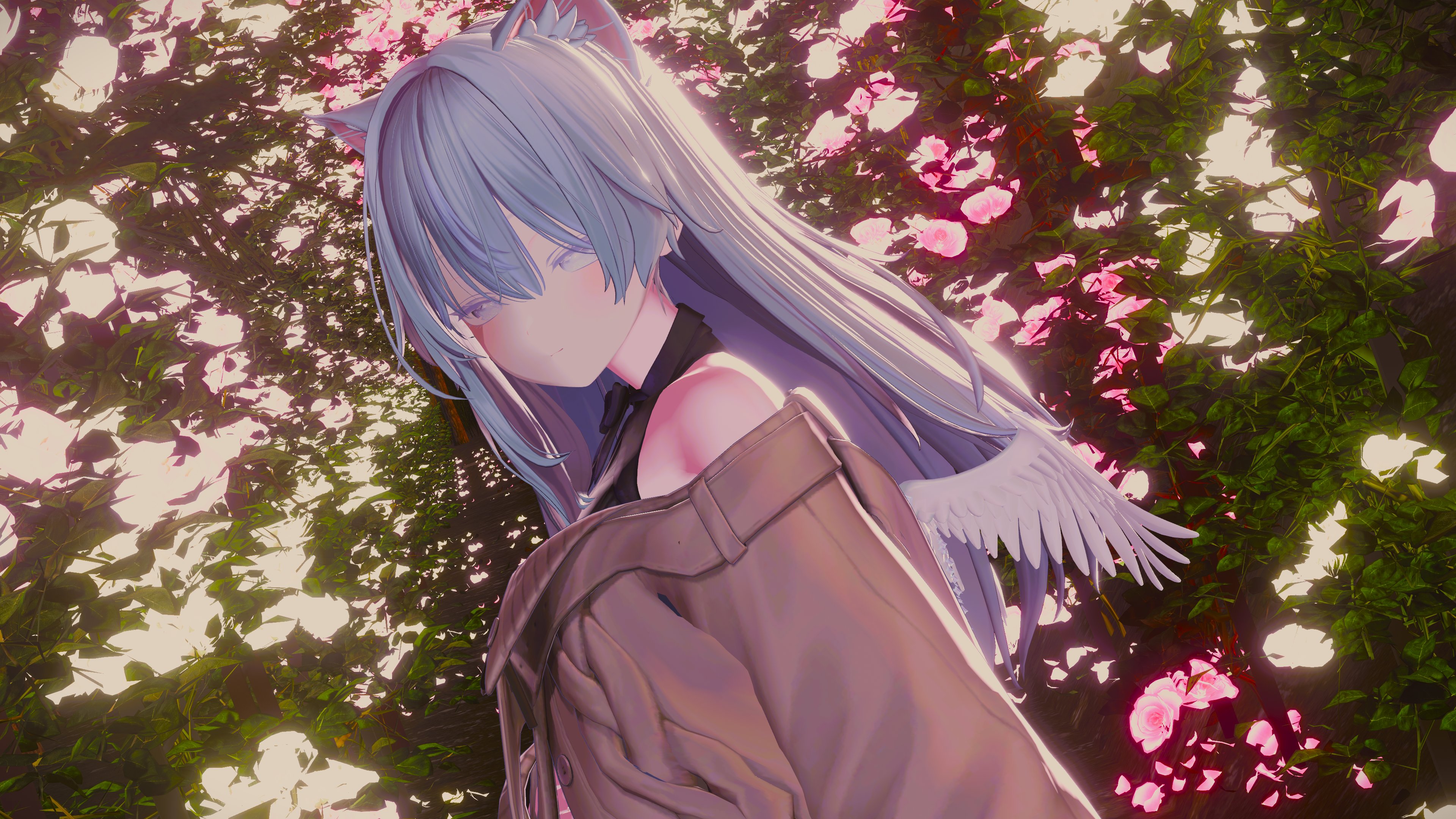 Tweet image