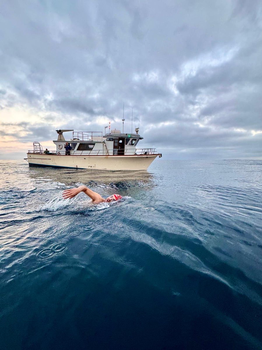 Tim Denyer tweet media