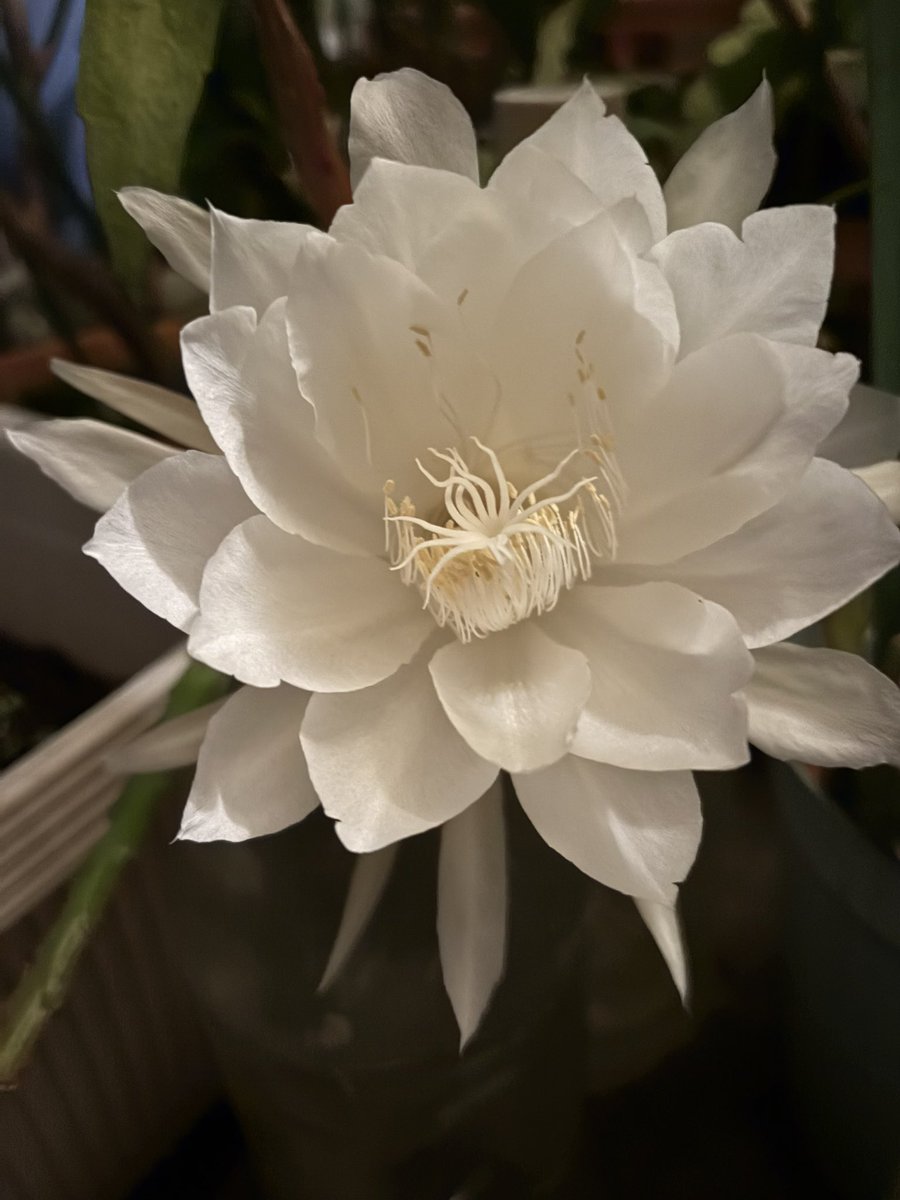 ;希子様⑅22 GXMXf2BakAAw9Ah.jpg