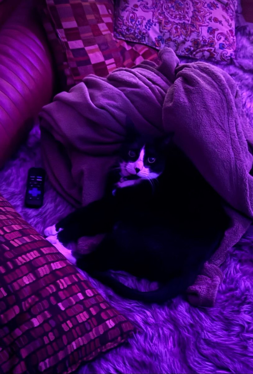 chris evans tweet media