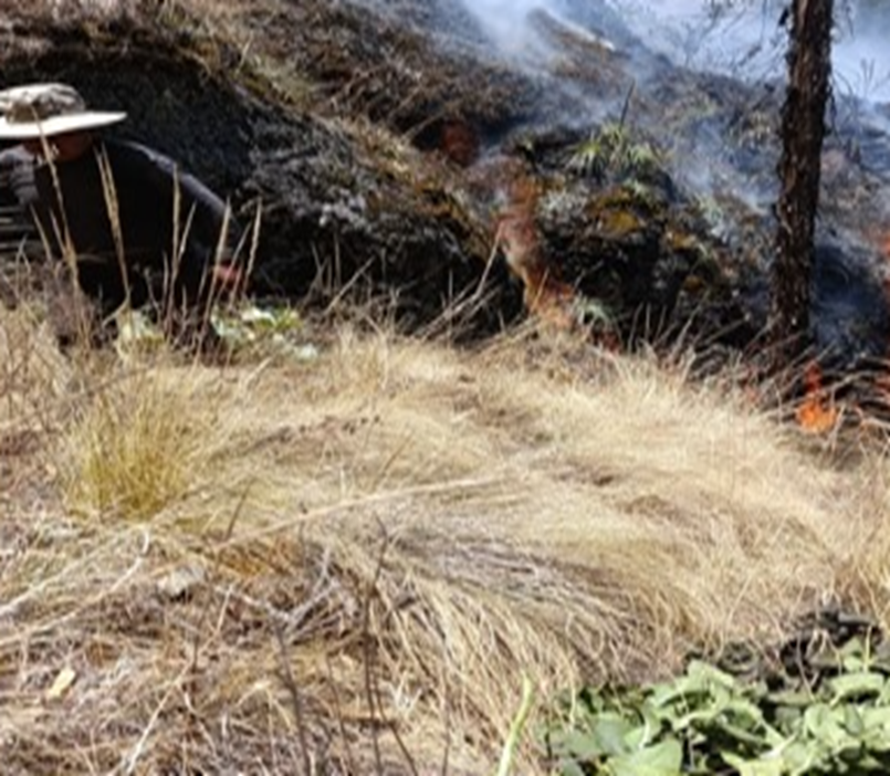COENPeru's tweet photo. 📢Actualización | Apurímac: #IncendioForestal registrado en el anexo de San Agustín de Huaruchaca, distrito #Mamara, provincia de Grau, fue controlado por personal del gobierno local, @PoliciaPeru y pobladores de la zona. Autoridad edil continúa con la #EDAN. https://t.co/YYumgs68Os