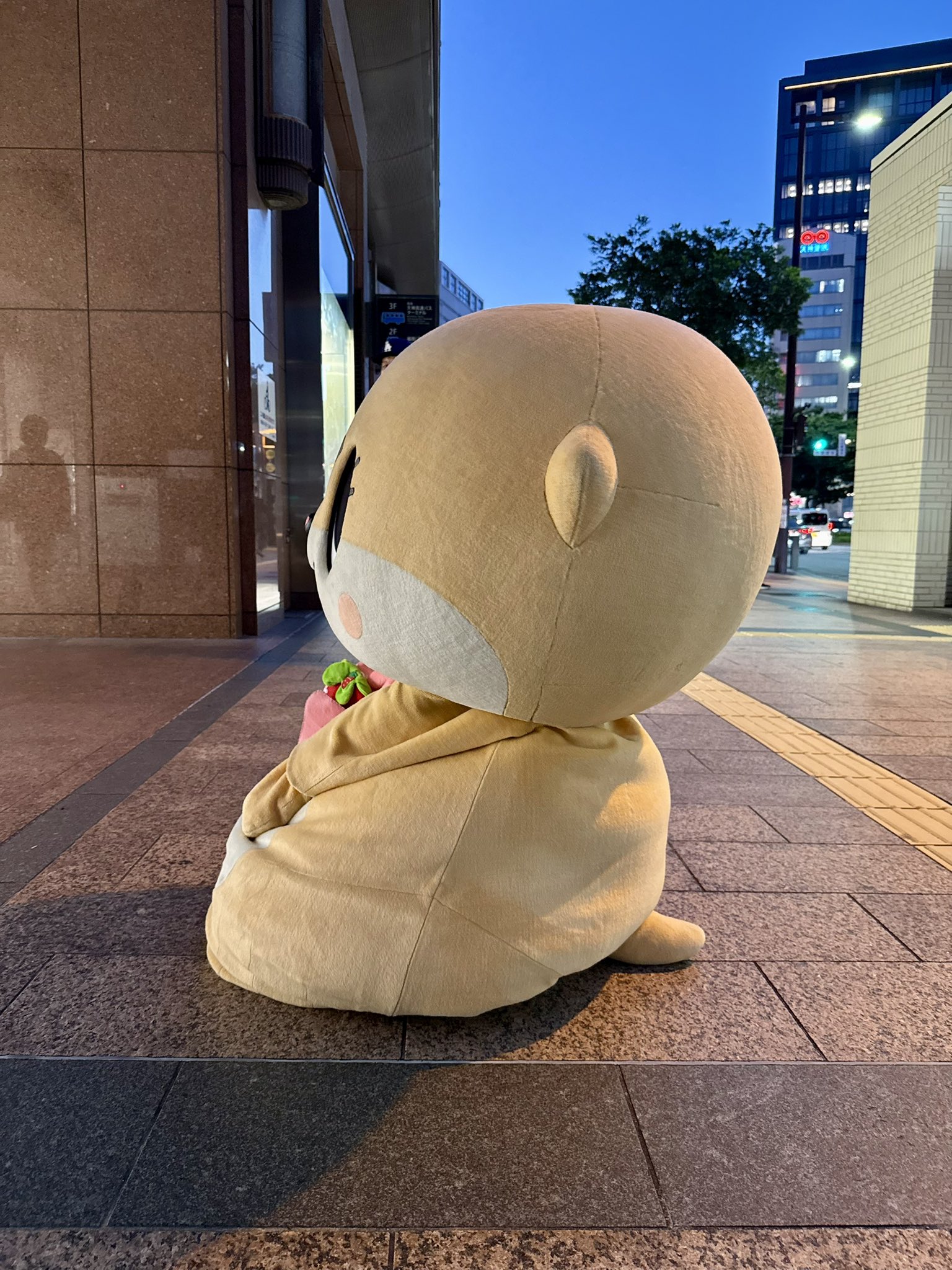 ちいたん ちいたん☆ (@mickeyentry) / X