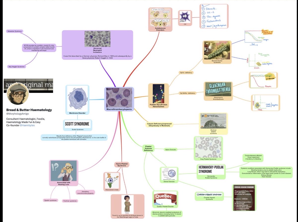 Bread & Butter Haematology tweet media