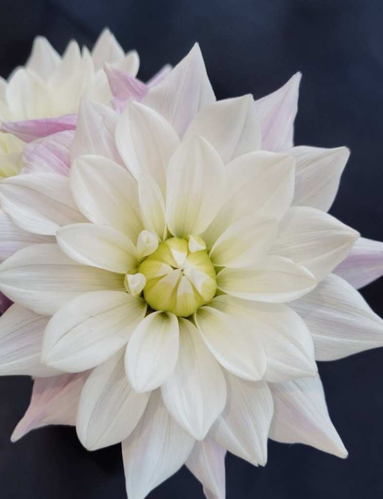 𖡼 

　      𝐺𝑜𝑜𝑑 𝑚𝑜𝑟𝑛𝑖𝑛𝑔︎*ଓ 

　　　　   𓇬𓏸𓂂𓏲

　    心の奥底に宿る
　　　揺るぎない優しさ

　        𓈒𓂂 𝐻𝑎𝑝𝑝𝑦 𝑑𝑎𝑦 ෆ⃛ 

　　　　　　　　　　　　　𖡼

　　　　     ꪑ꠸ꪀꪻ 𖦞˖*