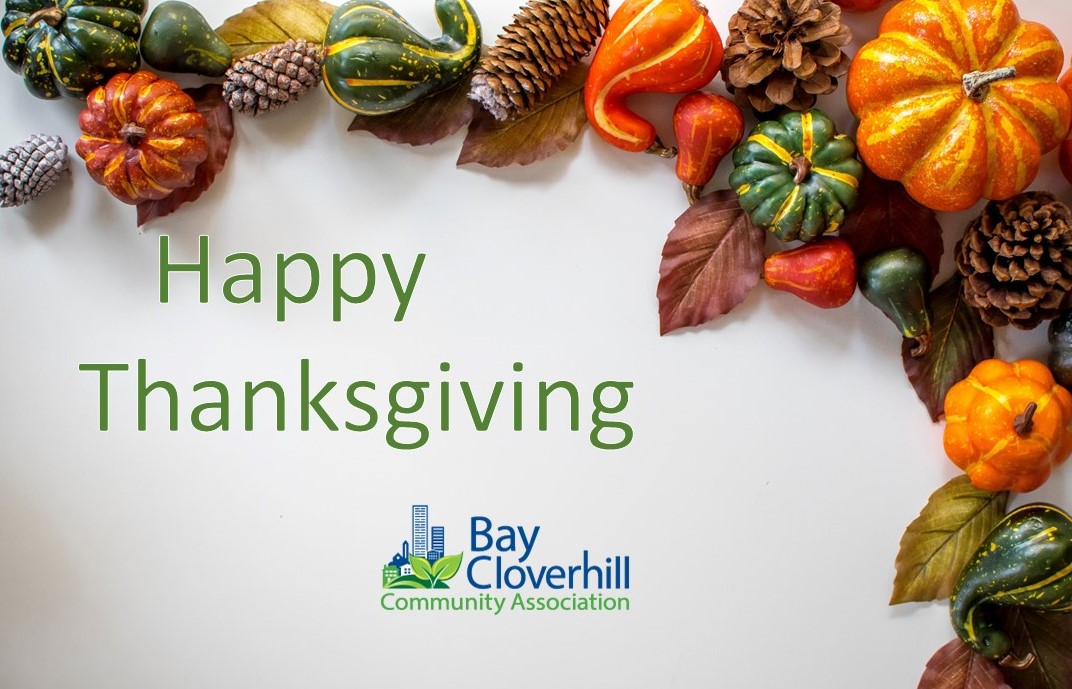 Bay Cloverhill (@baycloverhill) on Twitter photo 