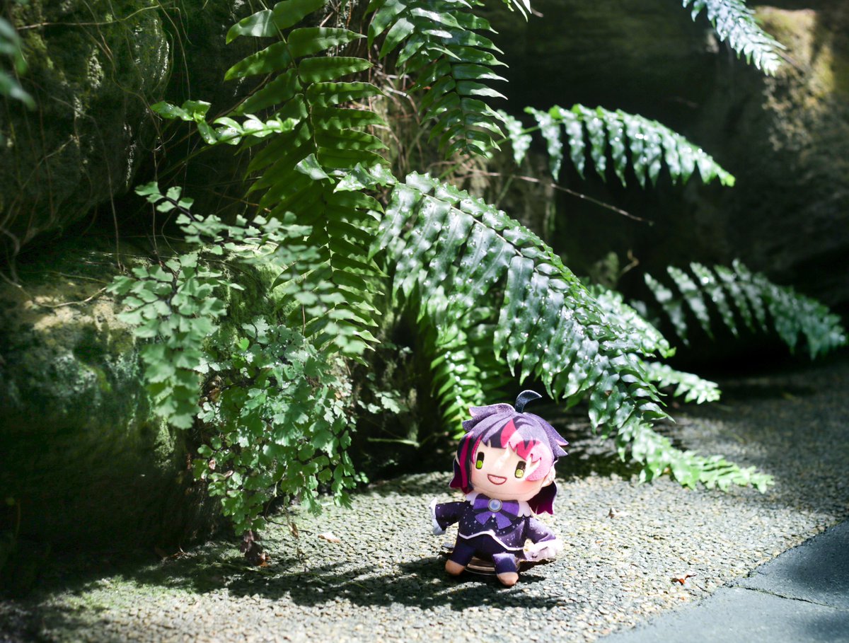 本日もすごしやすいところが多いですね
焦らずゆっくりすごせますように

こちらはゲコちゃん探しに行くラムリさん