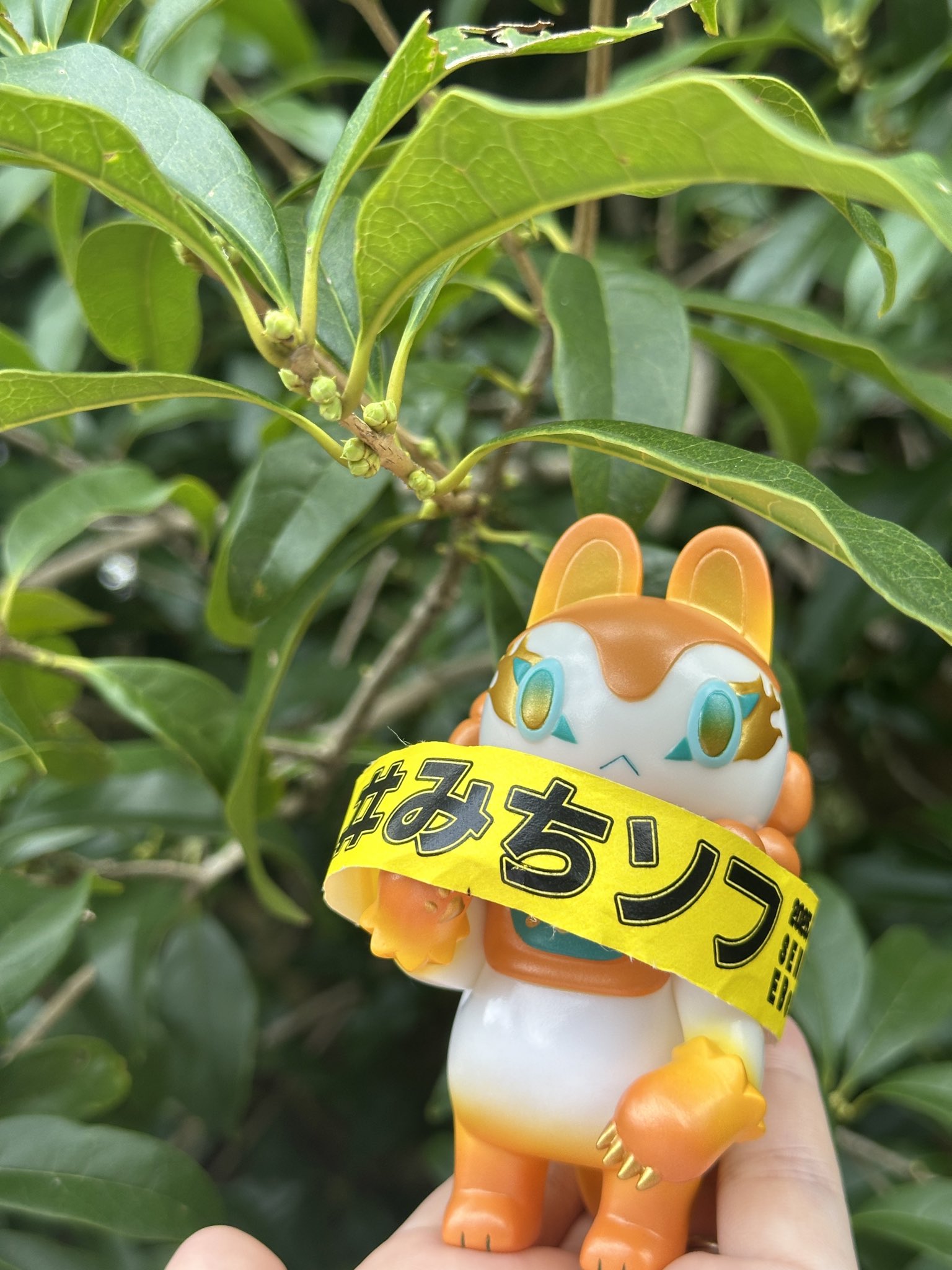 新品郷土玩具怪獣イヌハリゴン スケルトン イラストサイン入り　ソフビ 照紗2 新品郷土玩具怪獣イヌハリゴン スケルトン イラストサイン入り