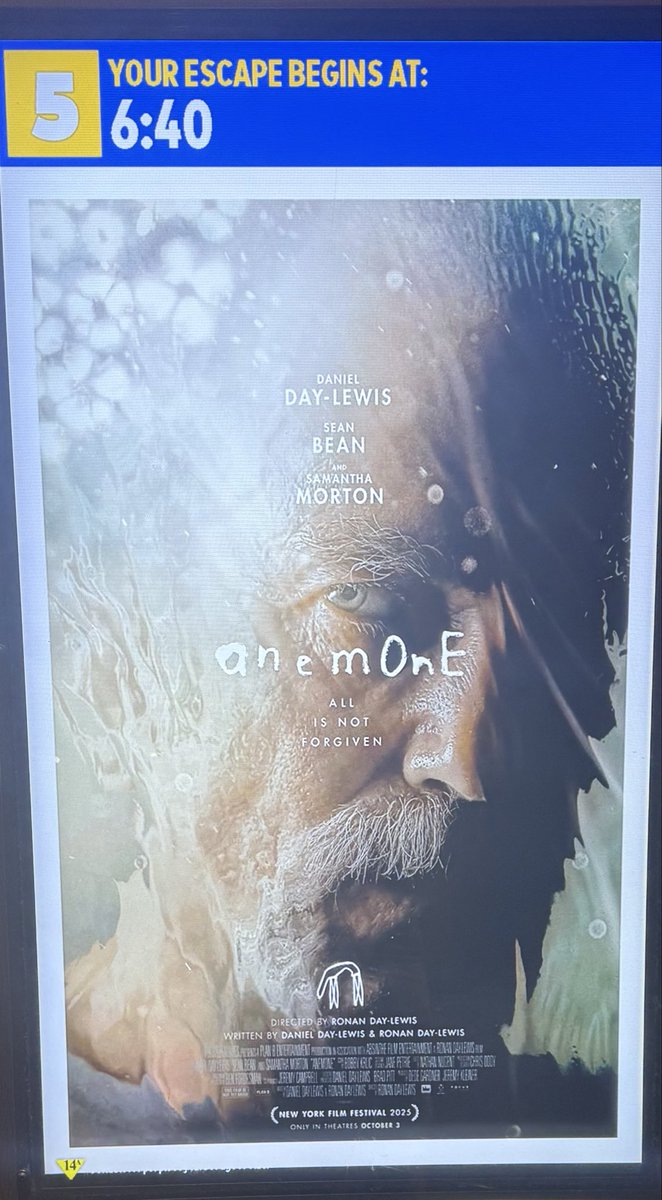 Matt (Caron) Di Maio tweet media