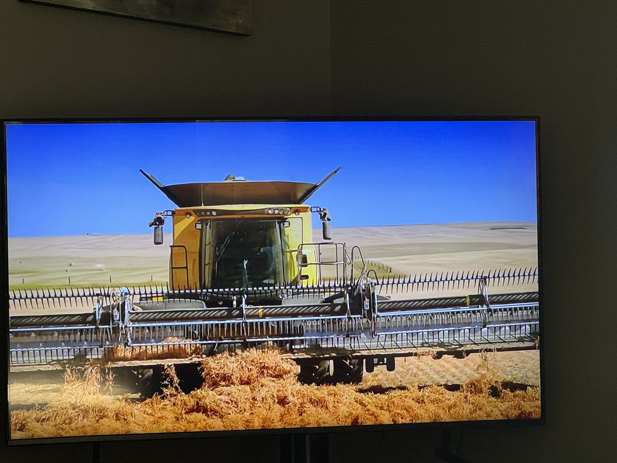 Rob Stone 🇨🇦 🧢 tweet media