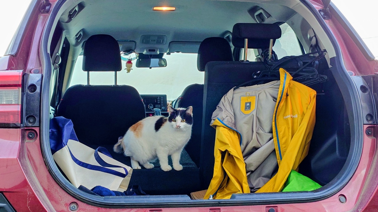 汽車に乗って虹を渡る子猫   パステル画 汽車に乗って虹を渡る子猫 パステル画