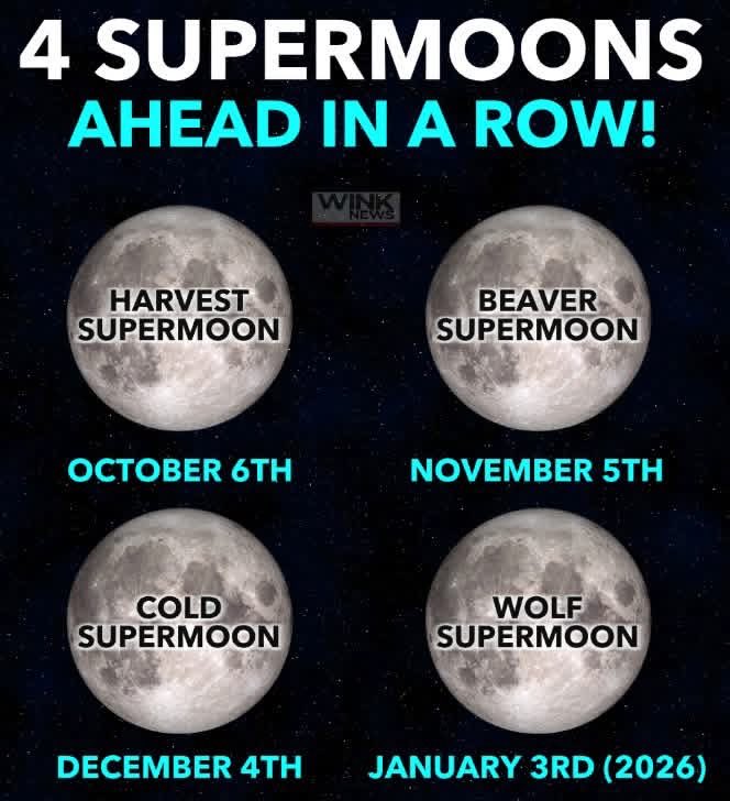 Pogo881's tweet image. Weeeeeee 🌕